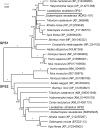 Figure 1—figure supplement 1.