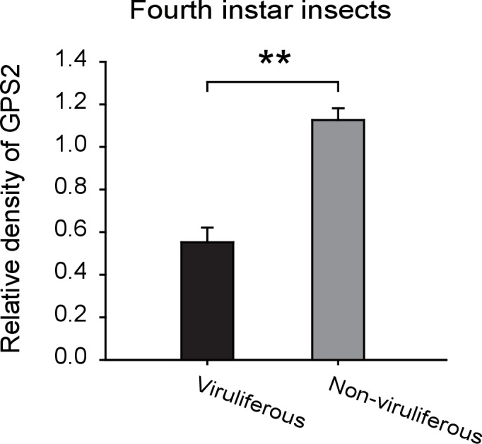 Figure 2—figure supplement 2.