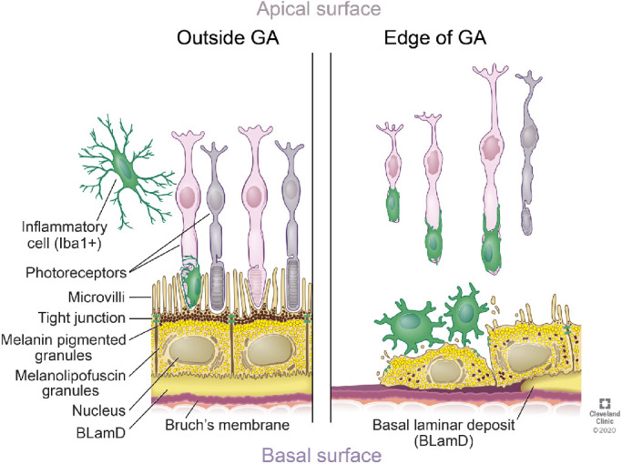 Figure 6.