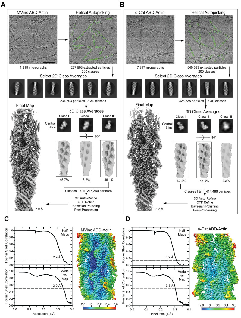 Figure 3—figure supplement 1.