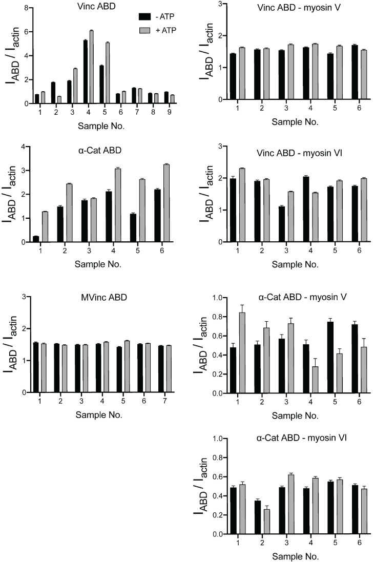 Figure 2—figure supplement 3.