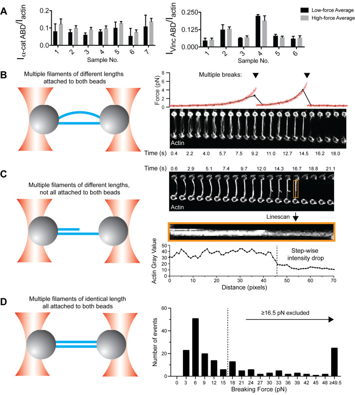 Figure 1—figure supplement 2.