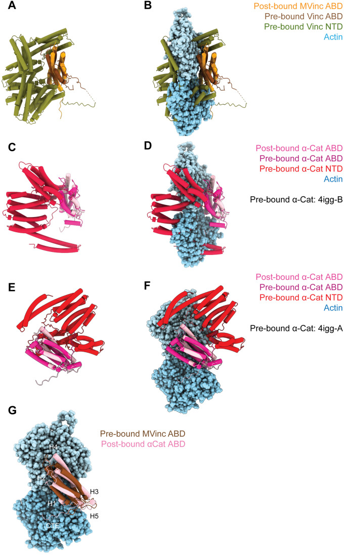 Figure 4—figure supplement 1.