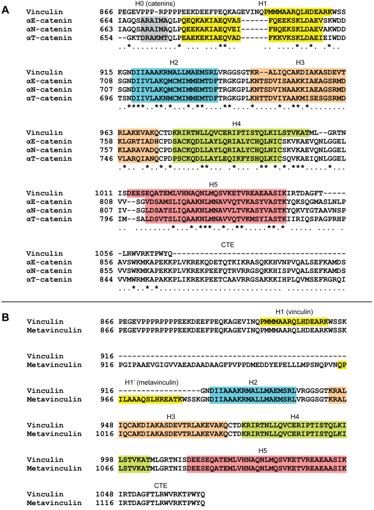 Figure 1—figure supplement 1.