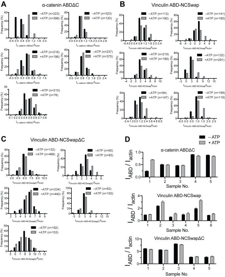 Figure 6—figure supplement 1.