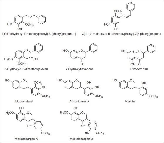 Figure 21