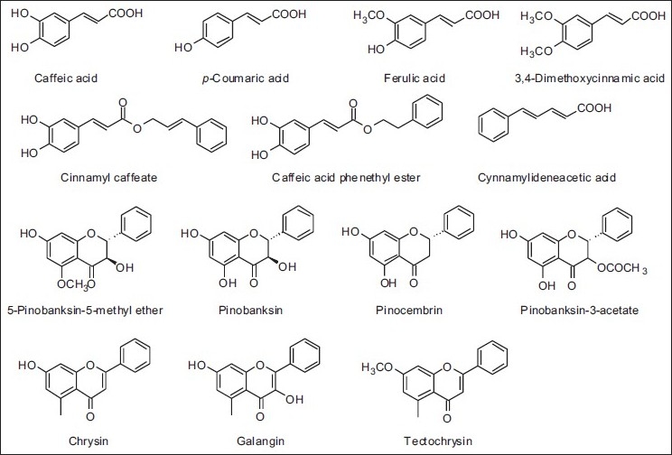 Figure 13