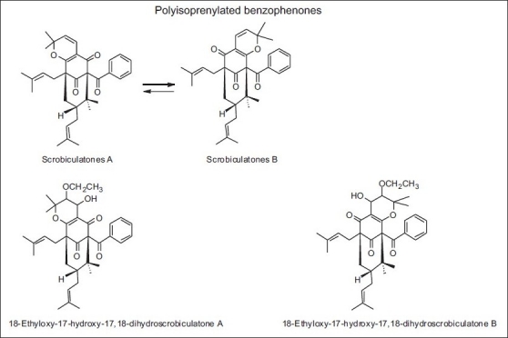 Figure 20