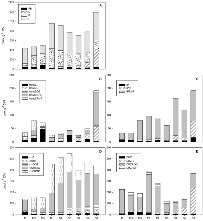 FIGURE 3