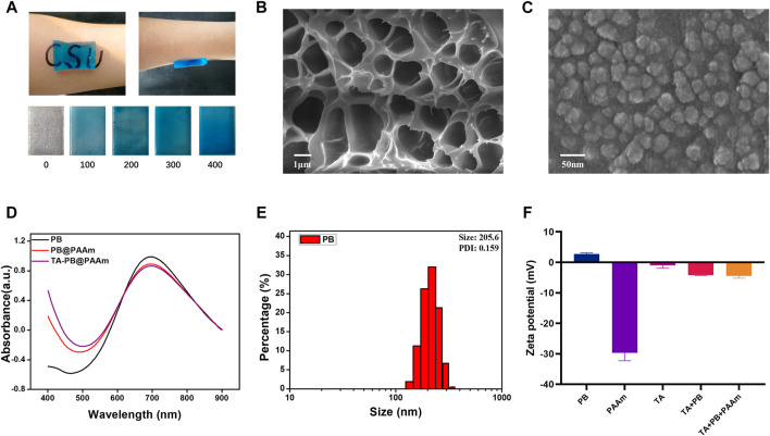 FIGURE 2