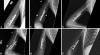 Fig. 3A–F
