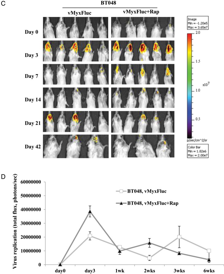 Fig. 3.