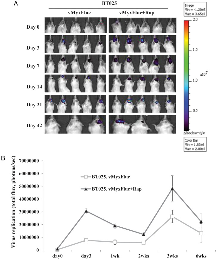 Fig. 3.