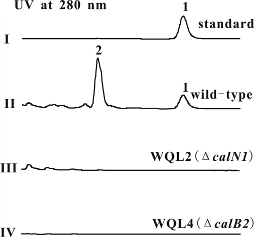 FIG. 6.