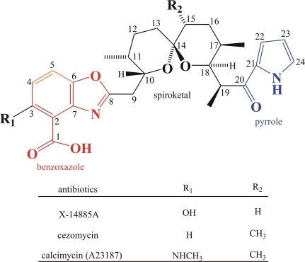 FIG. 1.