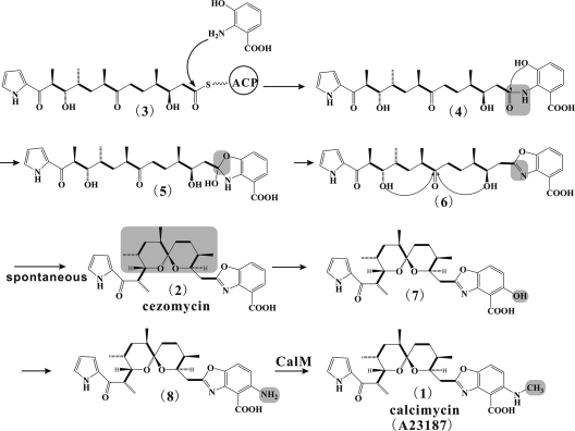 FIG. 8.