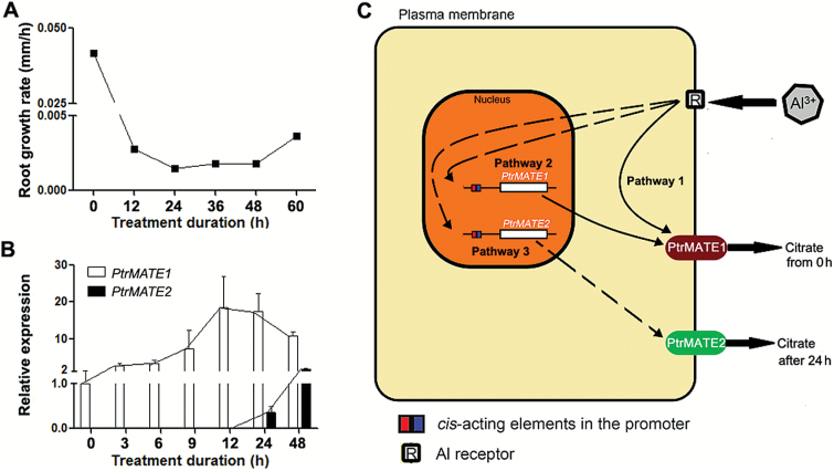 Fig. 9.