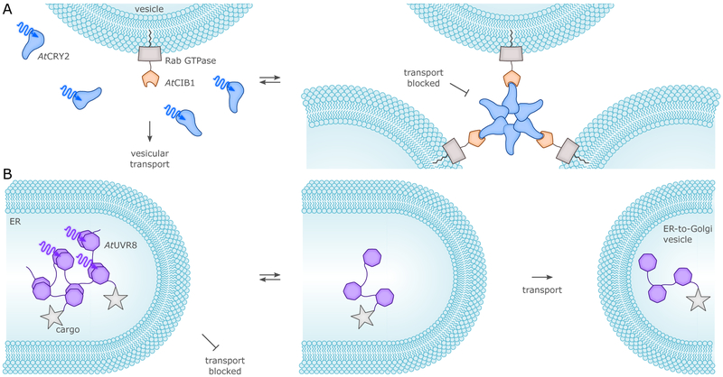 Figure 17