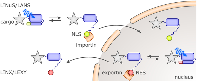 Figure 12