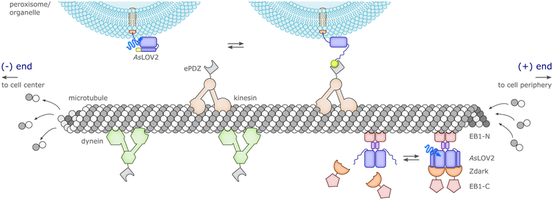 Figure 16