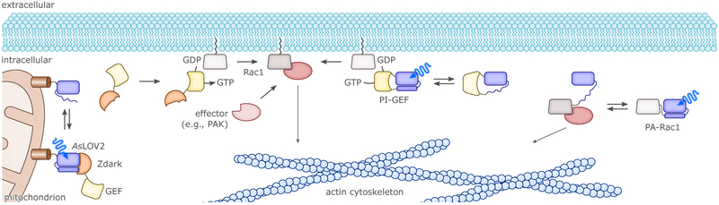 Figure 15