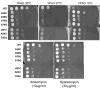 Fig. 2