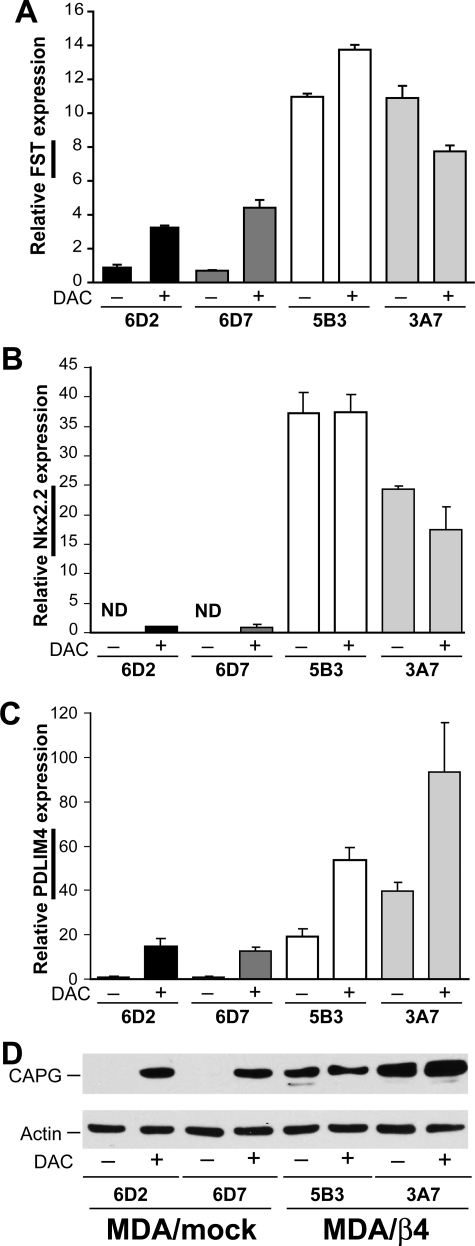 FIGURE 7.