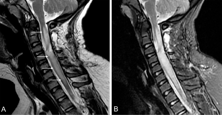 Fig. 3 –