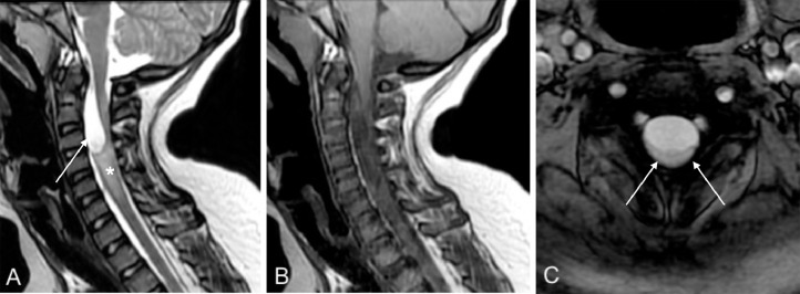 Fig. 2 –