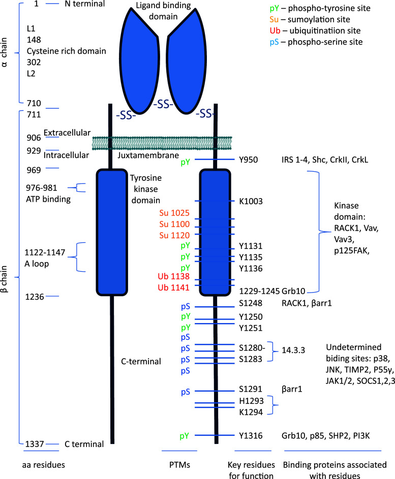 Fig. 1