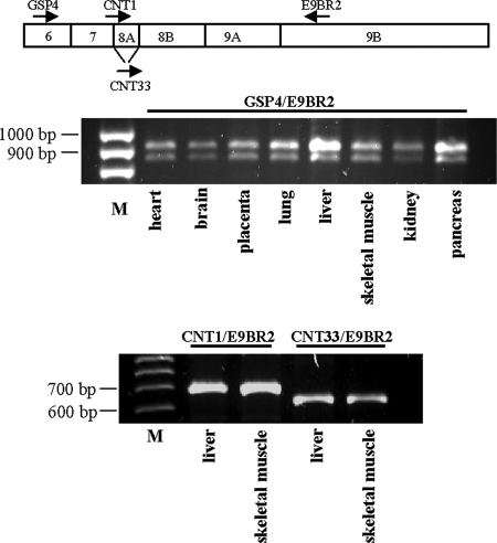 FIG. 5.