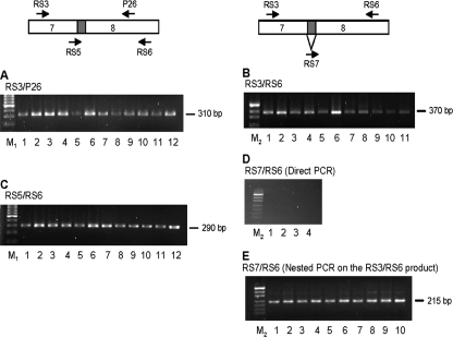 FIG. A2.