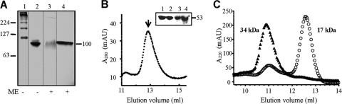 FIG. 9.