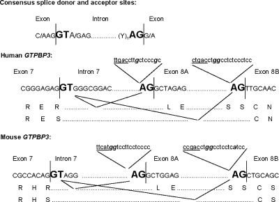 FIG. A1.