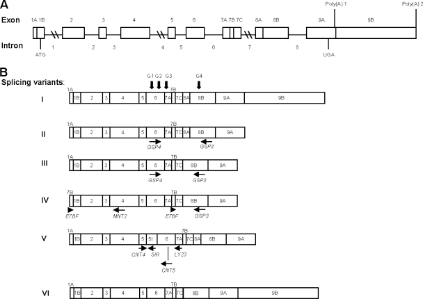 FIG. 3.