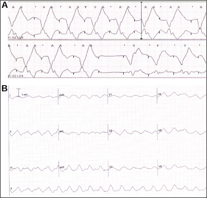 Figure 2)