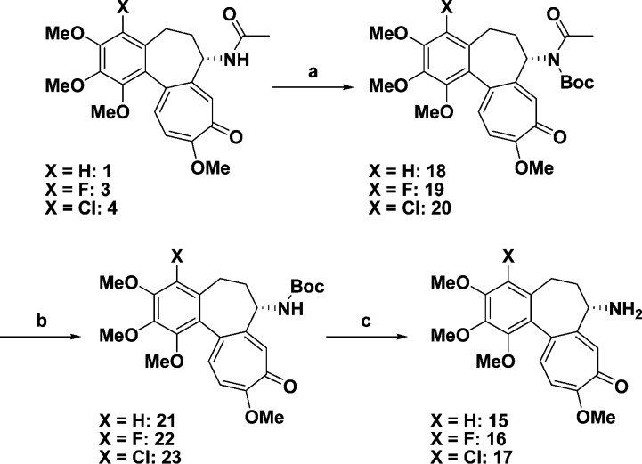 Scheme 2