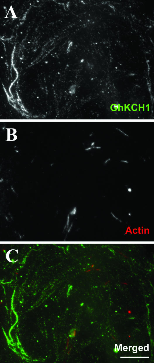 Figure 7.