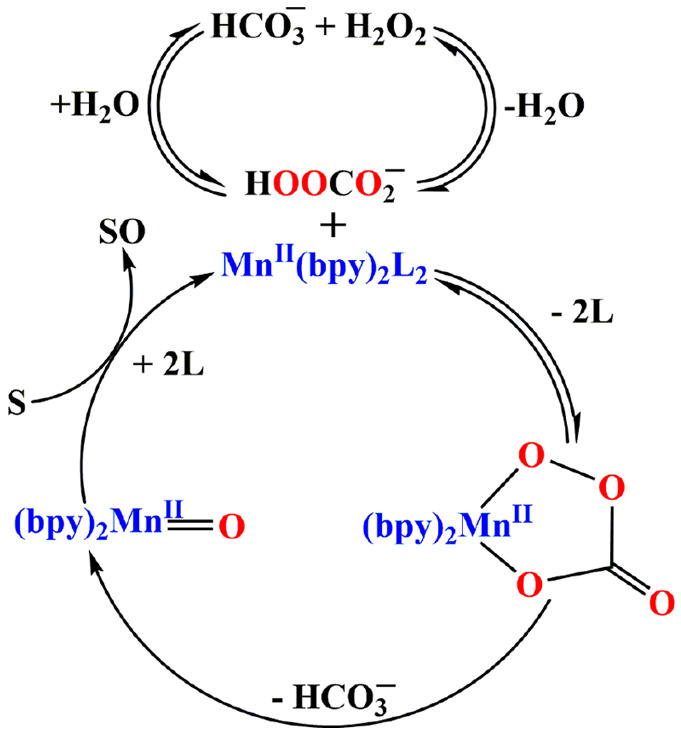 Scheme 6