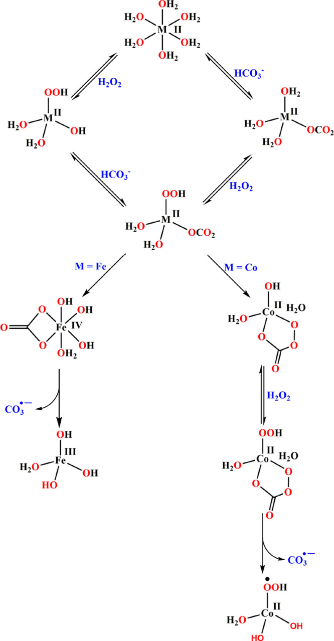 Scheme 7