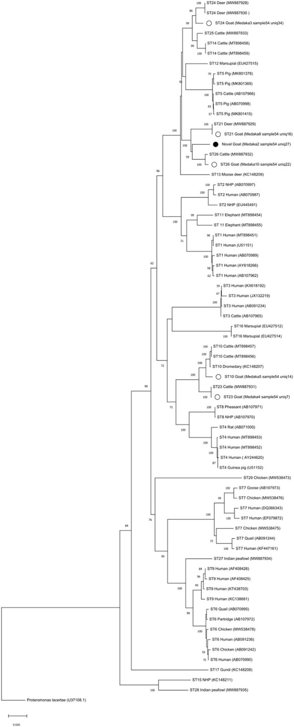 Figure 2