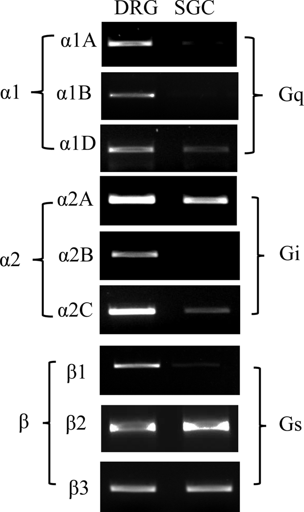 Figure 3.