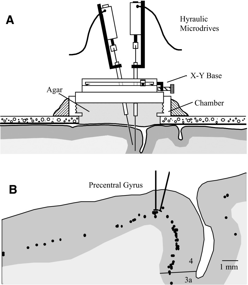 FIG. 1.