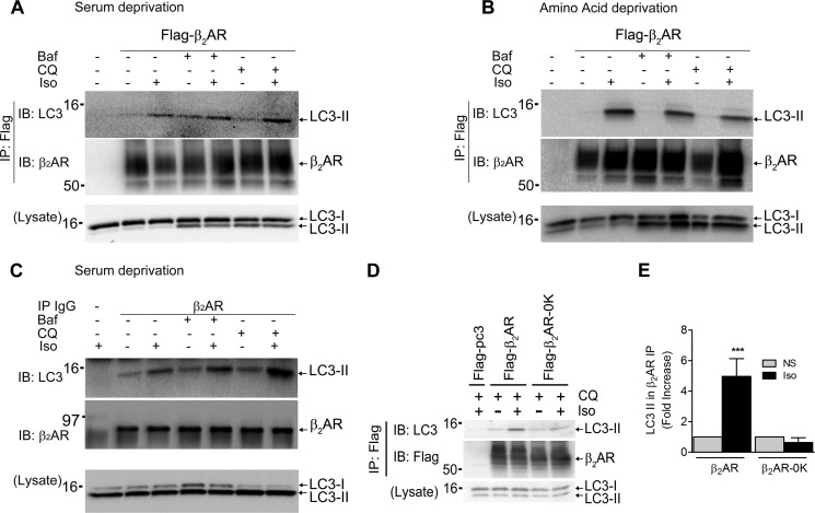 FIGURE 12.