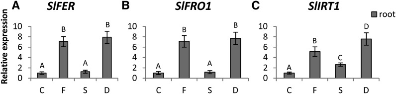 Figure 5.