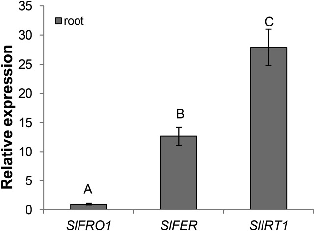 Figure 4.