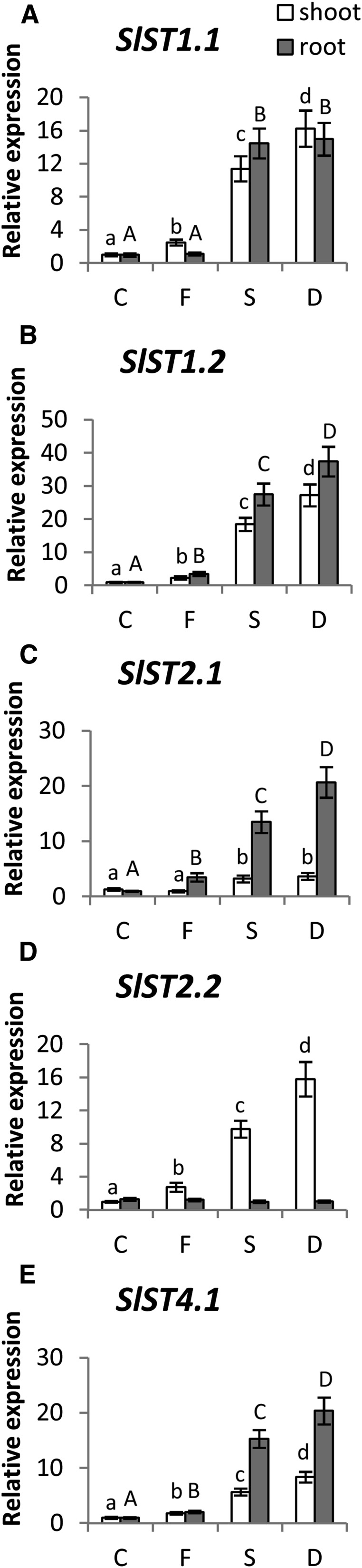 Figure 3.