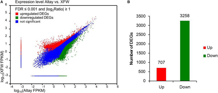 FIGURE 3