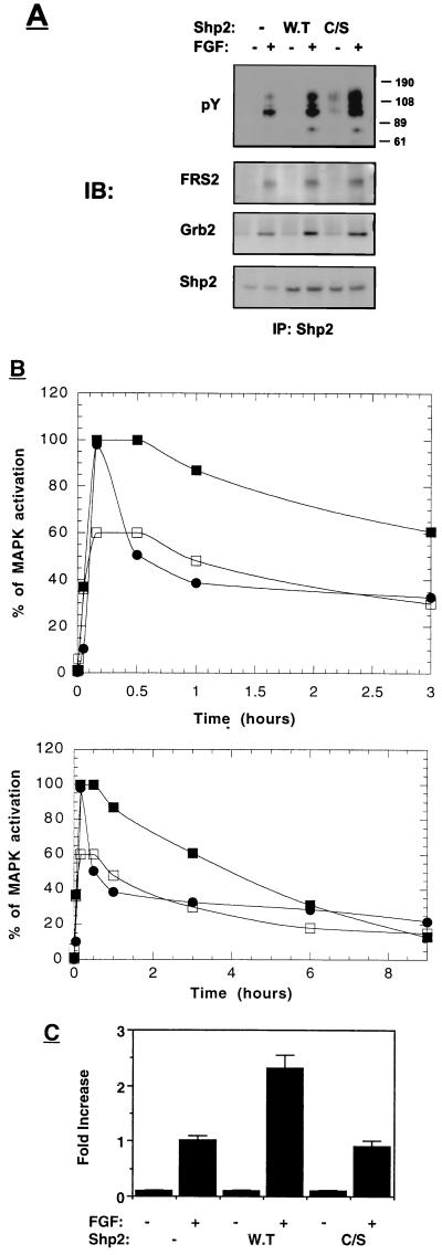 FIG. 8