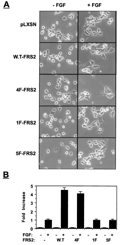 FIG. 7